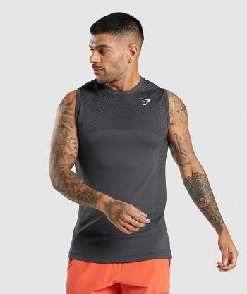 Podkoszulki Męskie Gymshark Apex Seamless Czarne Szare Czarne | PL 4033HAP